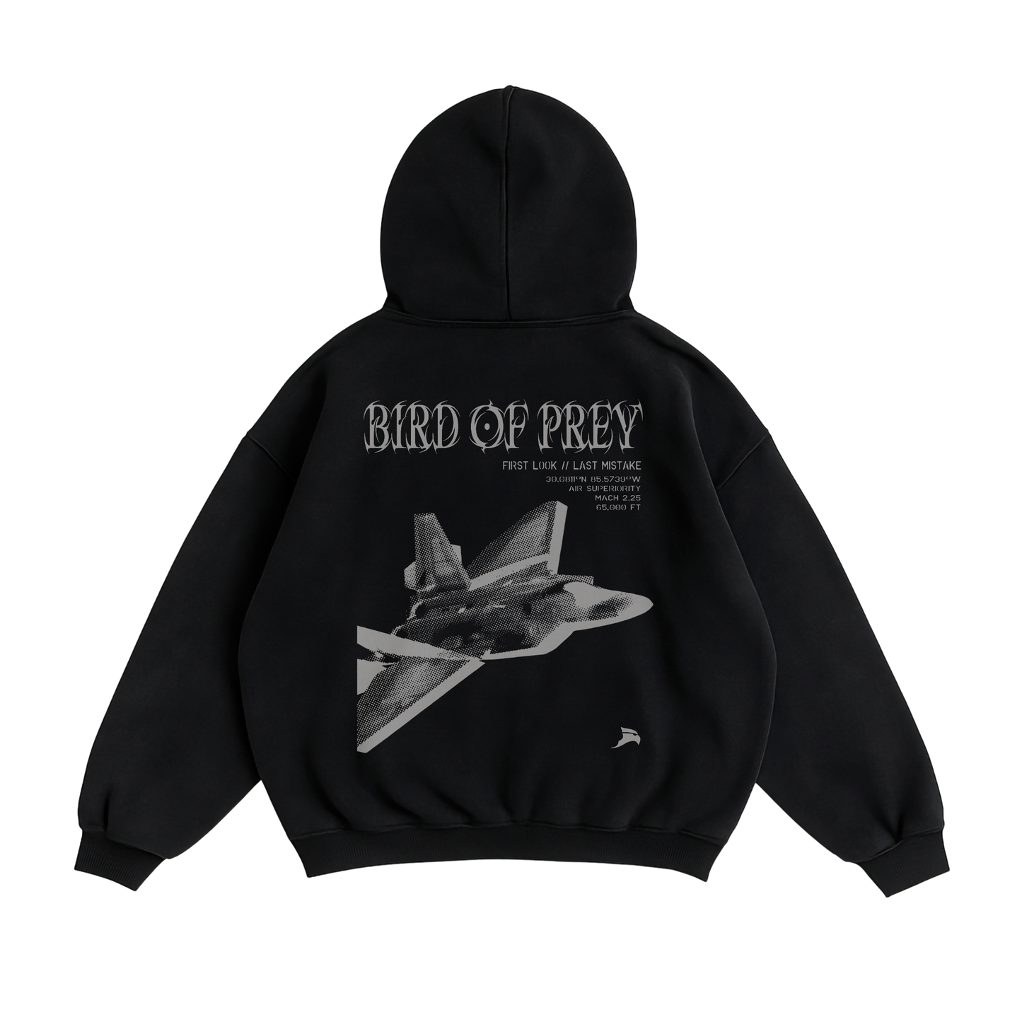 BIRD OF PREY F-22 HOODIE