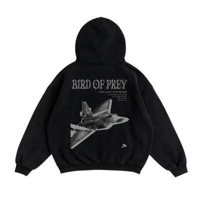 BIRD OF PREY F-22 HOODIE