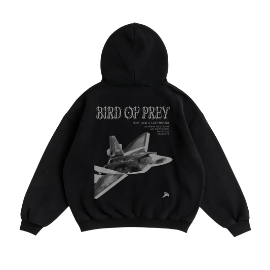 BIRD OF PREY F-22 HOODIE